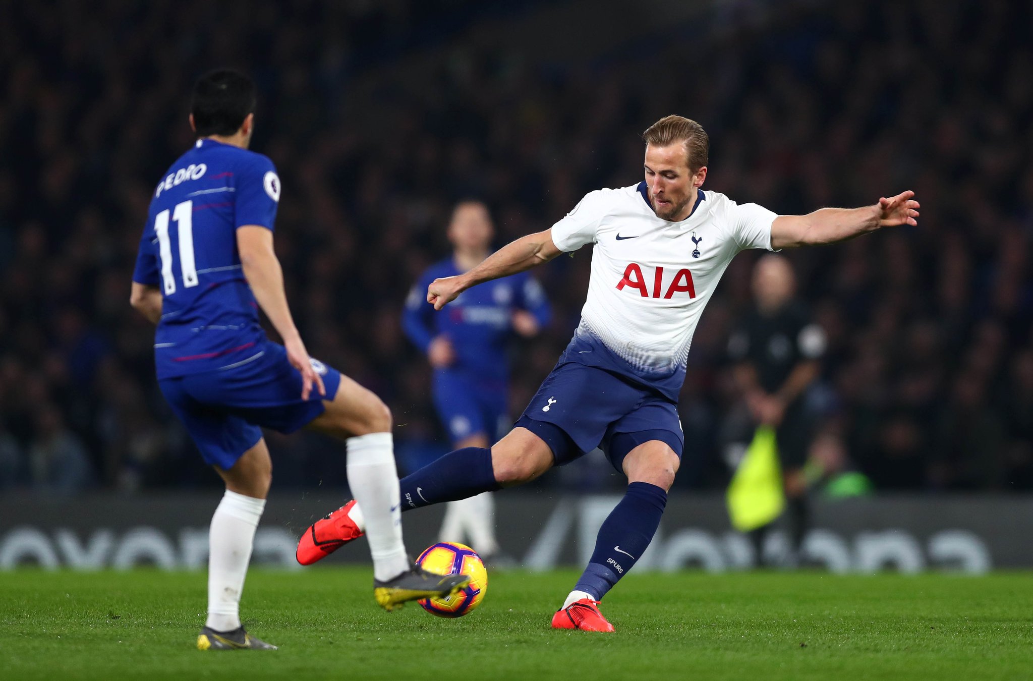 他精湛的传 他精湛的传